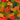 Gummy Bears Candy, Assorted Fruit Flavors, 2 Lb Bag
