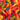 Gummy Worms Candy, Real Fruit Juice, 2 Lb Bag