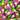 Halloween Candy Individually Wrapped, Jelly Beans, 18 Count Bag