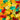 Gummy Bears, Assorted Fruit Flavors, Dye Free Candy, 1 Lb Bag